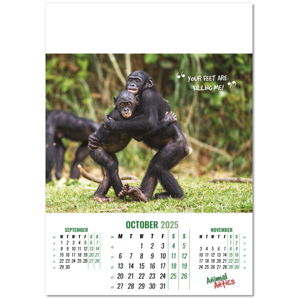 Animal Antics Wall Calendar