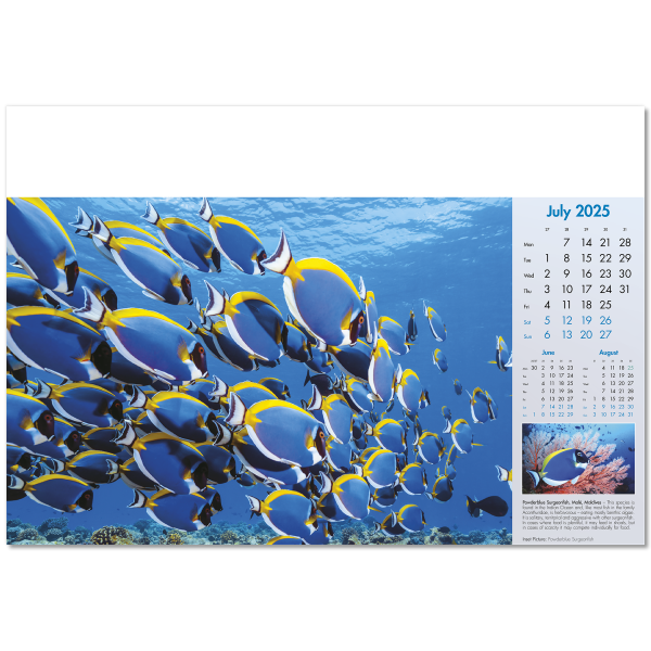 Blue Planet Wall Calendar