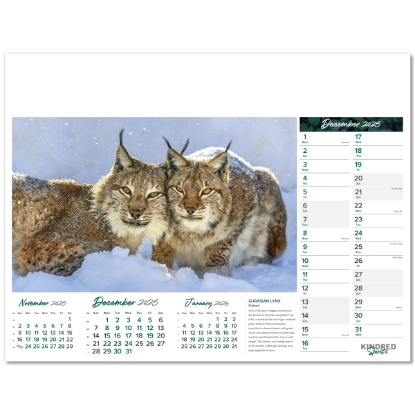 Kindred Spirits Wall Calendar