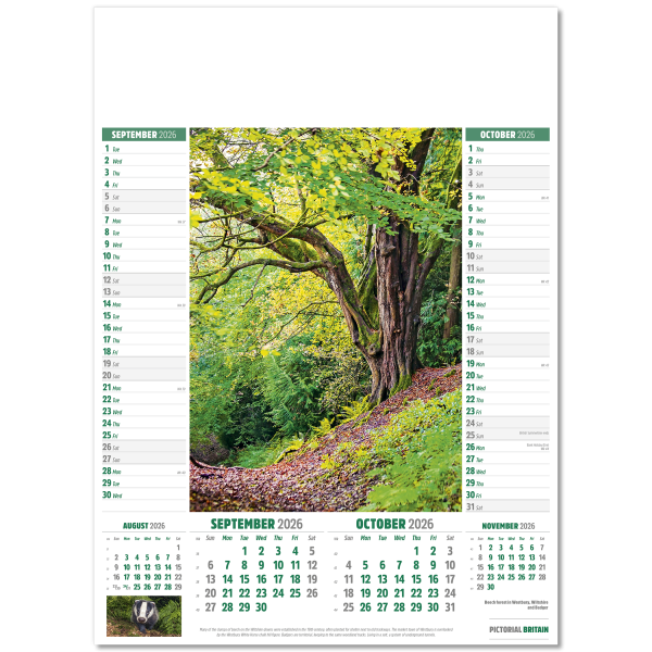 Pictorial Britain Wall Calendar