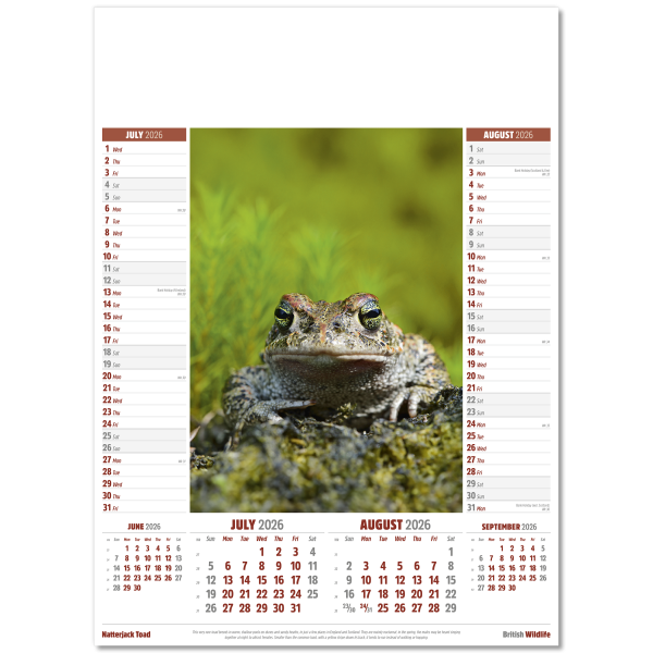 British Wildlife Wall Calendar