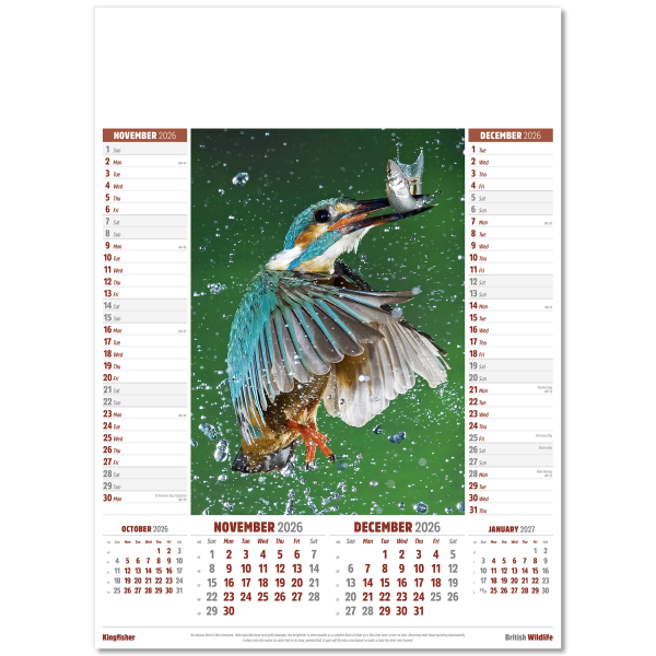 British Wildlife Wall Calendar