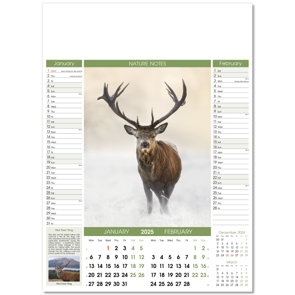 Nature Notes Wall Calendar