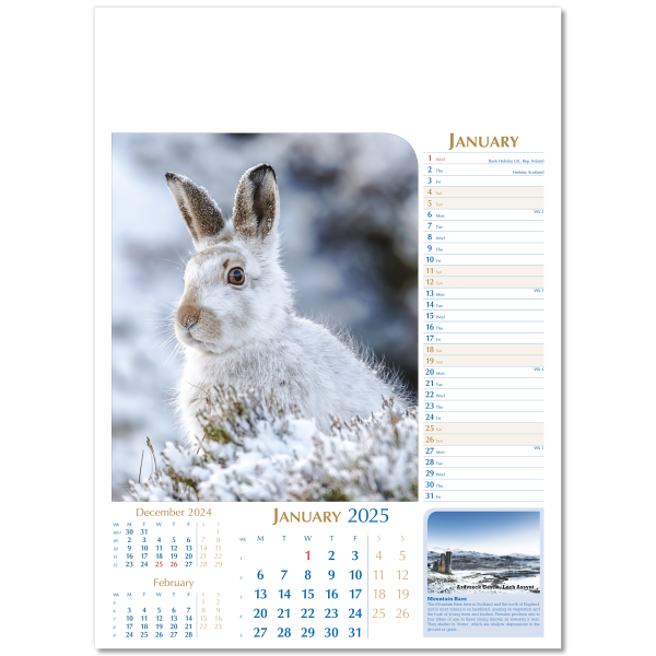 Notable Wildlife Wall Calendar