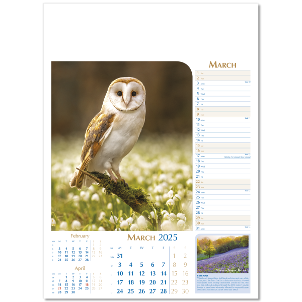 Notable Wildlife Wall Calendar