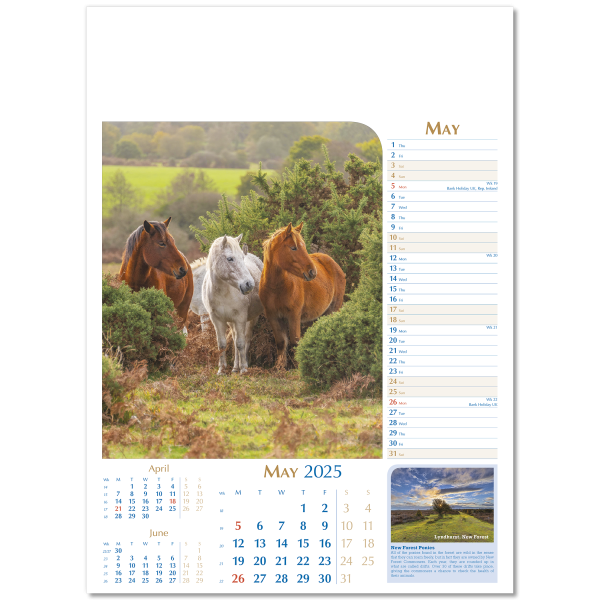 Notable Wildlife Wall Calendar