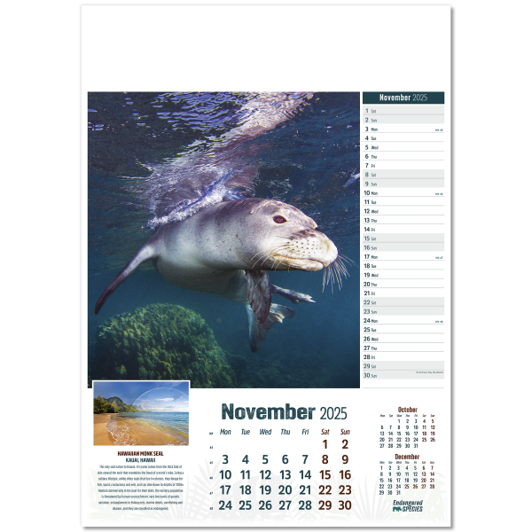 Endangered Species Wall Calendar