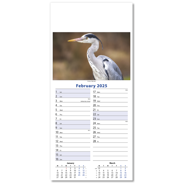 Wildlife Slim Wall Calendar