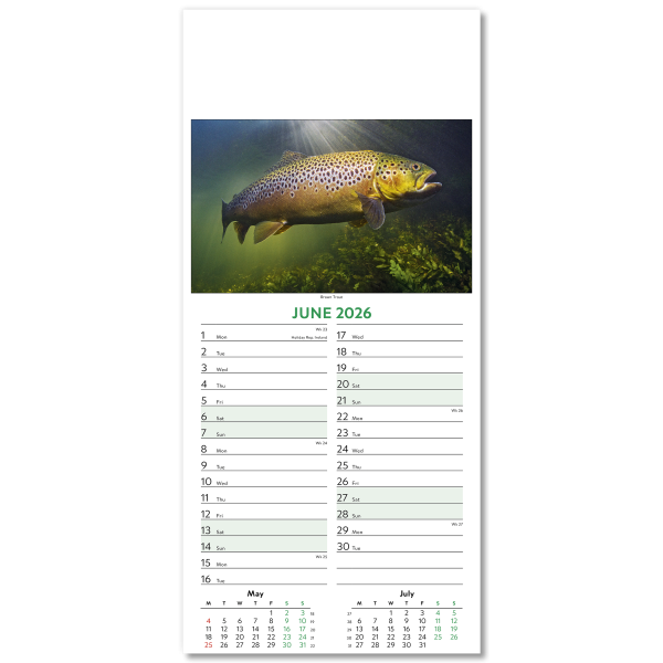 Wildlife Slim Wall Calendar