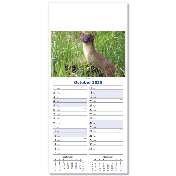 Wildlife Slim Wall Calendar