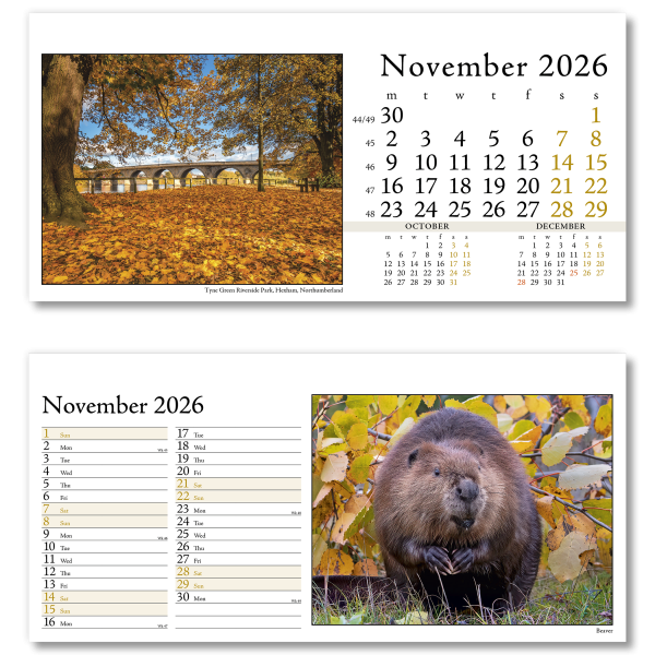 Photo Life PVC Desk Calendar