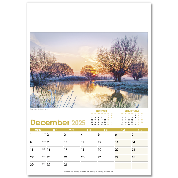 Aspects Wall Calendar - 13 Leaf