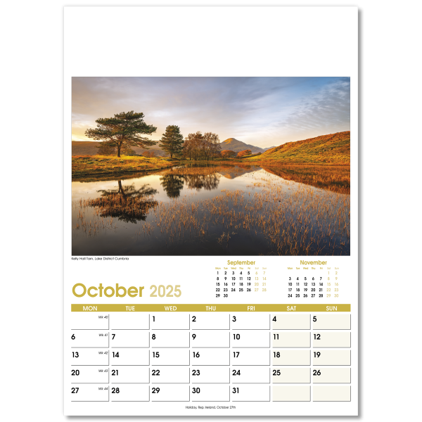 Aspects Wall Calendar - 13 Leaf