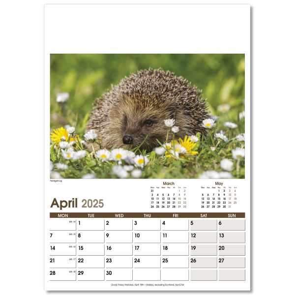 Rural Life Wall Calendar - 13 Leaf