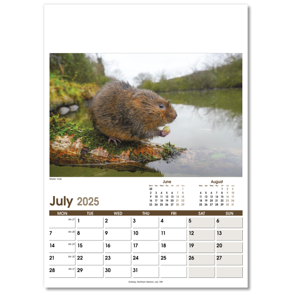 Rural Life Wall Calendar - 13 Leaf