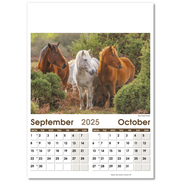 Rural Life Wall Calendar - 7 Leaf