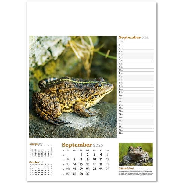 Wildlife in Britain Wall Calendar